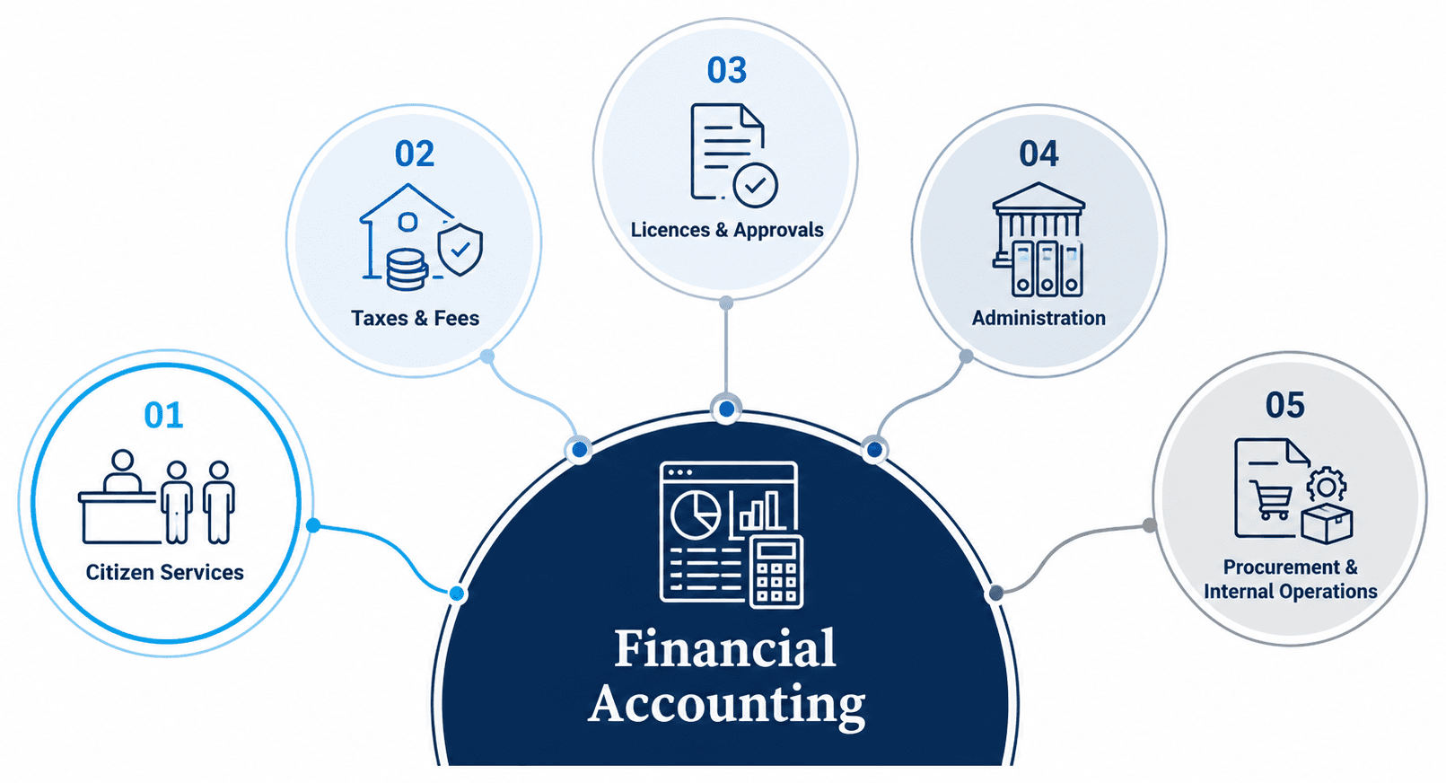 Diagram of the Municipal ERP's five functional groups — Citizen Services, Taxes & Fees, Licences & Approvals, Administration, and Procurement & Internal Operations — connected to a central Financial Accounting hub